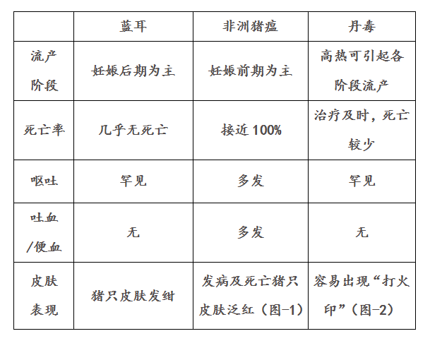 假想 (1).png